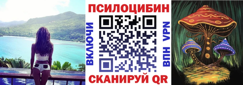 hydra ссылки  купить наркоту  Переславль-Залесский  Галлюциногенные грибы Psilocybe 